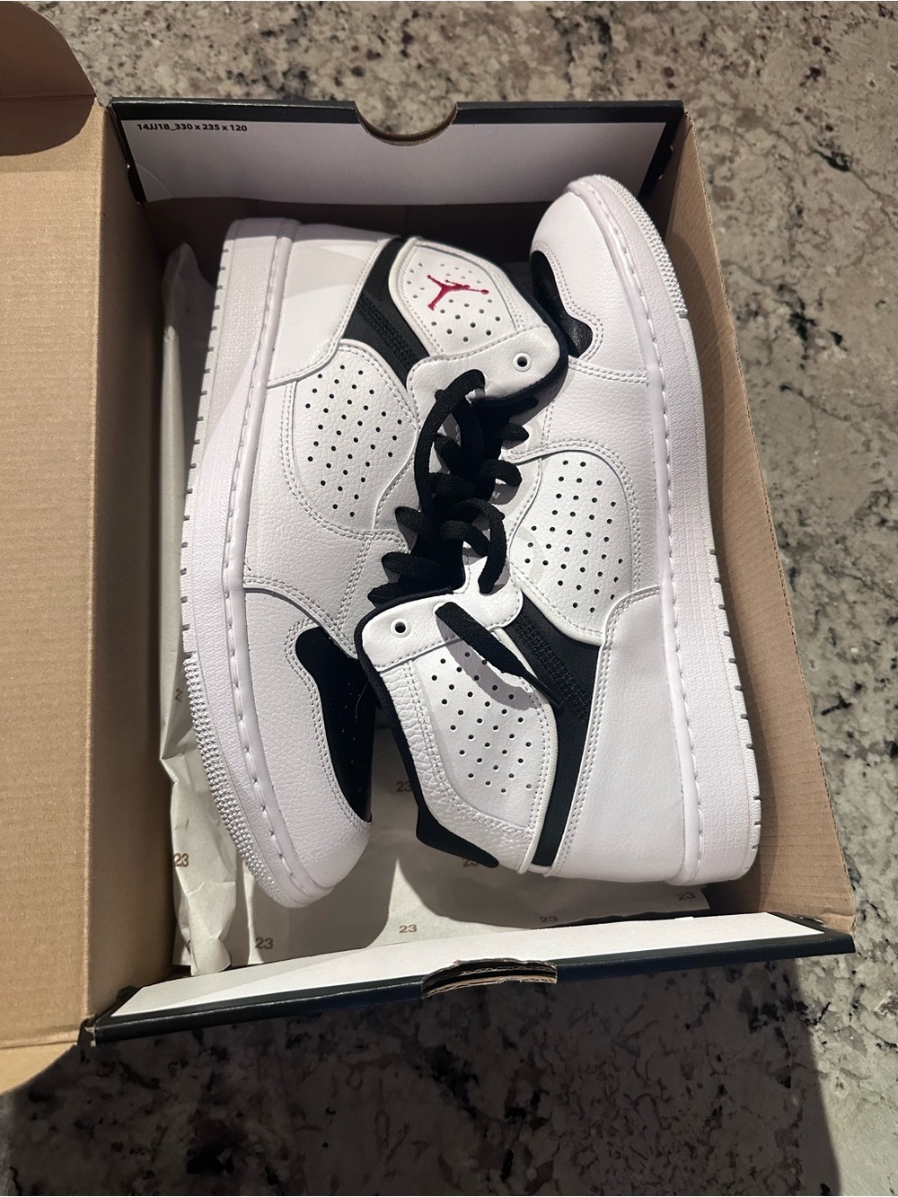 Air Jordan Access White & Black Shoes